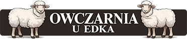 Owczarnia u Edka Zakopane – Za darmo głaskaj i karm owce, atrakcje dla dzieci